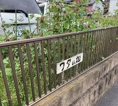 京都2022 (27).jpeg
