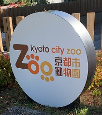 京都2022 (271).jpeg