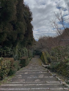 京都2023 (391).jpeg