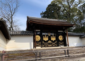 京都2023 (545).jpeg