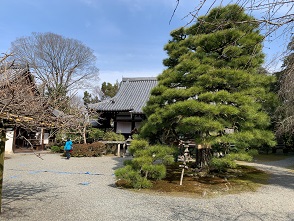 京都2023 (553).jpeg