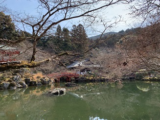 京都2023 (578).jpeg