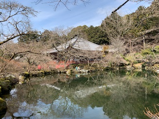 京都2023 (583).jpeg