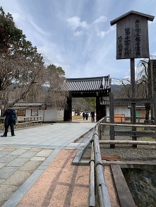 京都2023 (610).jpeg