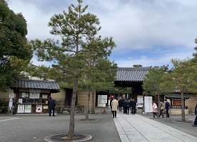 京都2023 (659).jpeg