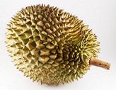 durian03.jpg